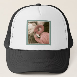 Casquette Flamingo