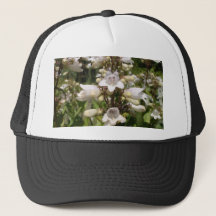 Fleur blanche
