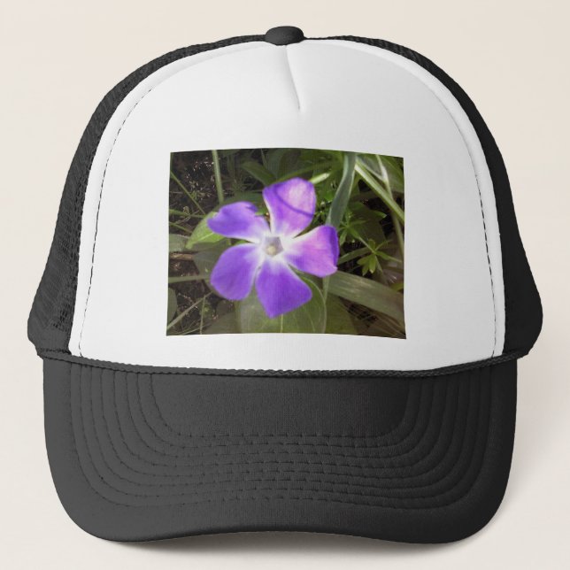 Casquette Fleur sauvage californien (Devant)