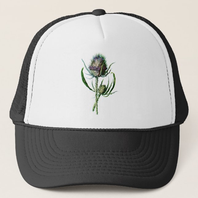 Casquette Fleur sauvage d'antiquité de chardon d'écossais du (Devant)