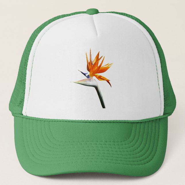 Casquette Fleur tropicale orange oiseau de paradis (Devant)