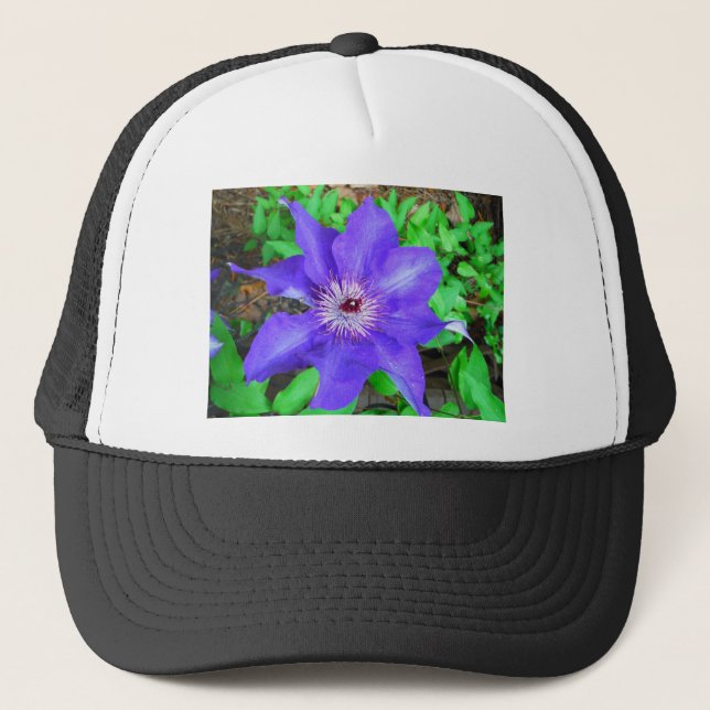 Casquette Fleur violette Clematis (Devant)