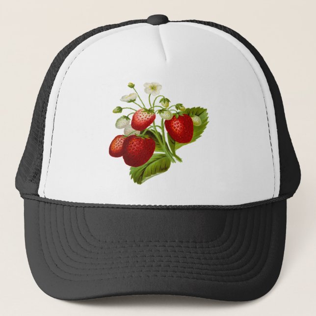 Casquette Food fruit leaf leafy leaves (Devant)