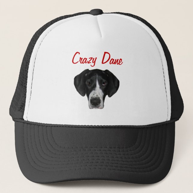 Casquette fou de logo de Danois (Devant)