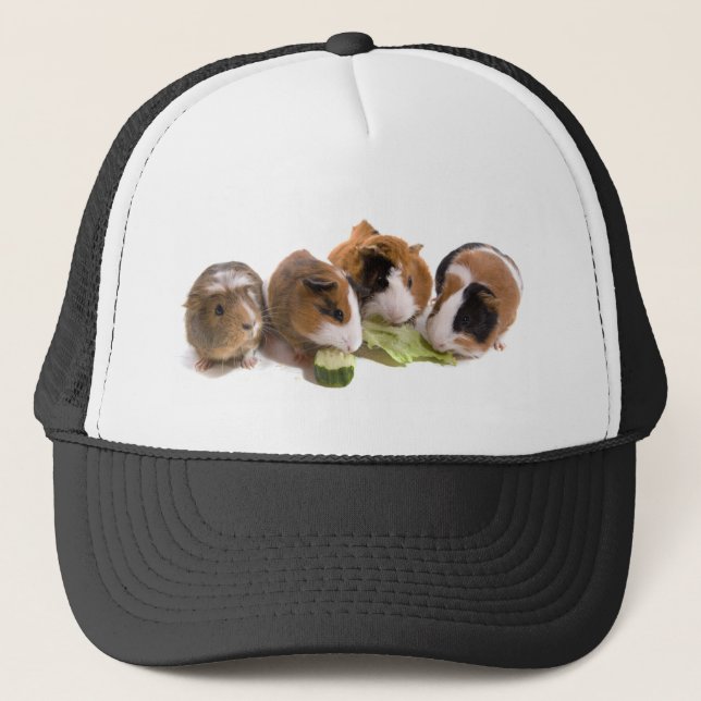 Casquette four guinea pigs who eat, (Devant)