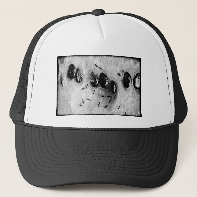 Casquette fourmis faisant du surf (Devant)