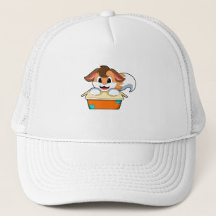 Casquette Fox avec boîte