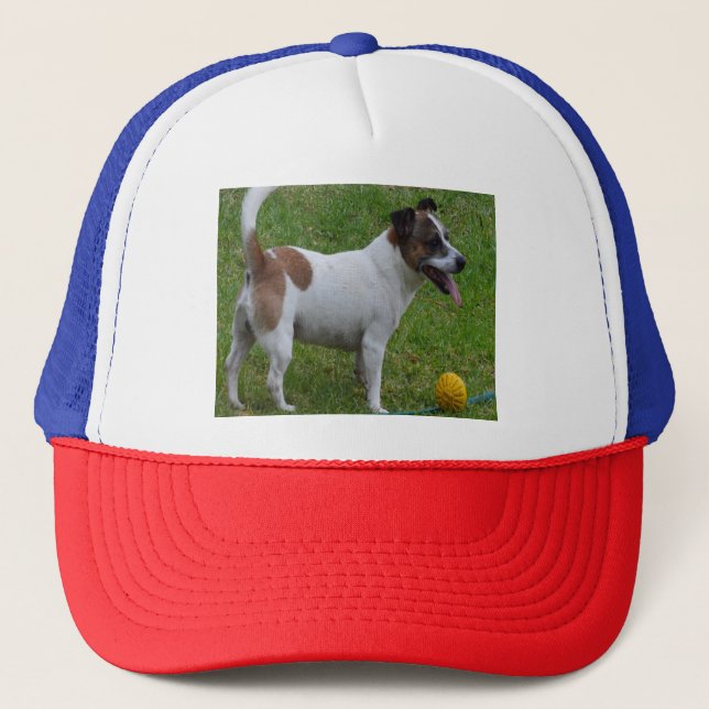 Casquette Fox Terrier Avec Son Bal Jaune, Chapeau De Camion (Devant)