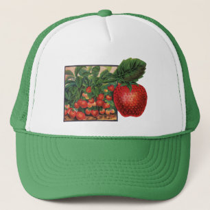 Casquette Fraises anciennes, plants de fraises dans une ferm