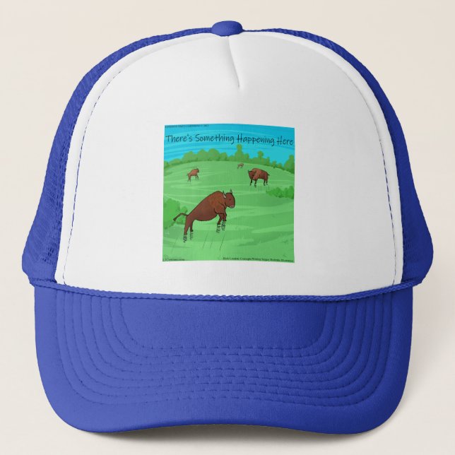Casquette Funny Buffalo Springfield Pour Ce Qu'Il Vaut La Co (Devant)