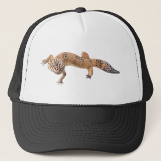 Casquette Funny Léopard Gecko