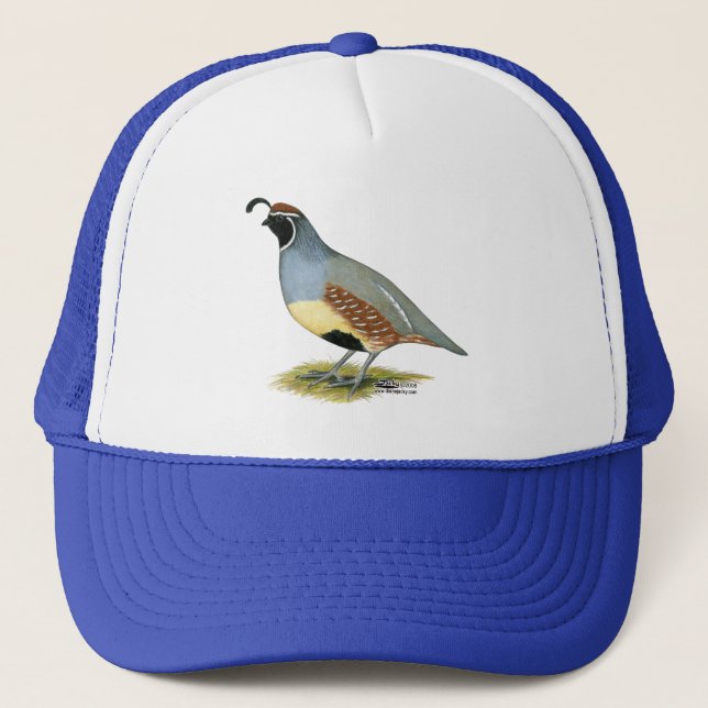 Casquette Gambel's Desert Quail (Devant)