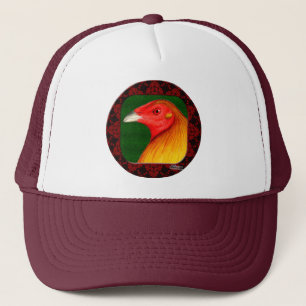 Casquette Gamecock encadré