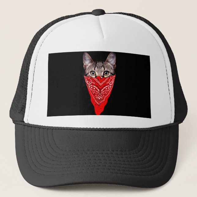 Casquette Gangster cat hood (Devant)