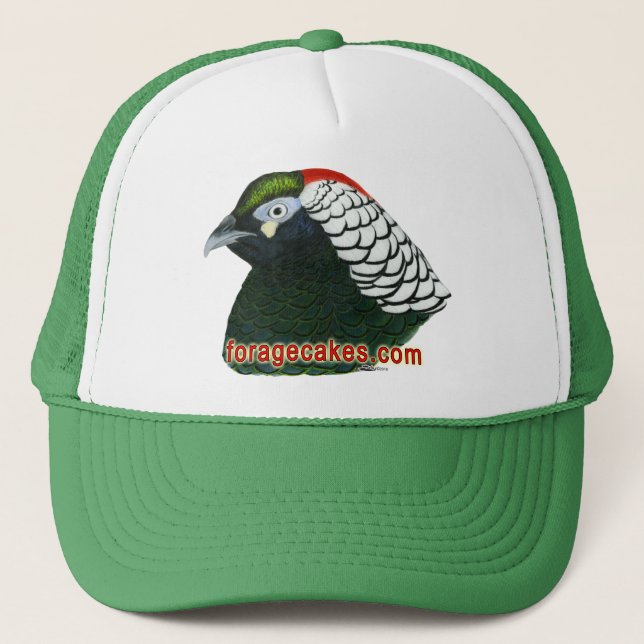 Casquette Gâteaux de fourrage :  Madame Amherst Pheasant (Devant)