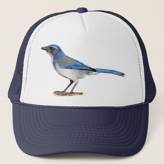 CASQUETTE GEAI 2 (Devant)