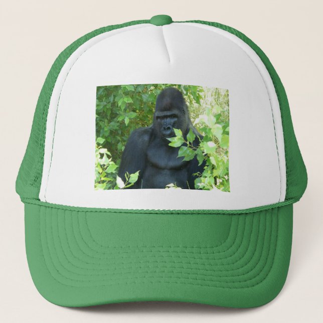 Casquette gorille dans le buisson (Devant)
