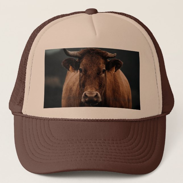 Casquette Gorra vaca (Devant)