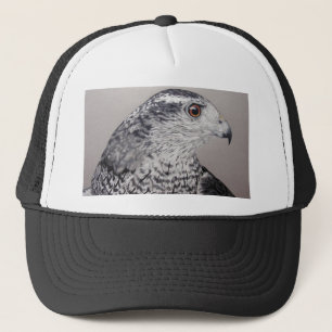 Casquette Goshawk du Nord