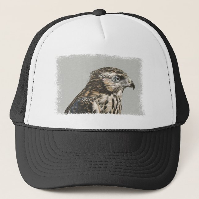 Casquette Goshawk immature (Devant)