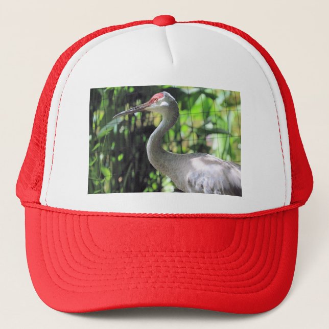 Casquette Graine de Sandhill (Devant)