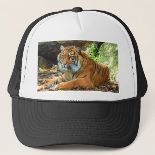 Casquette grand de camionneurs de tigre