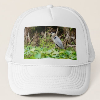 Casquette Grand héron bleu