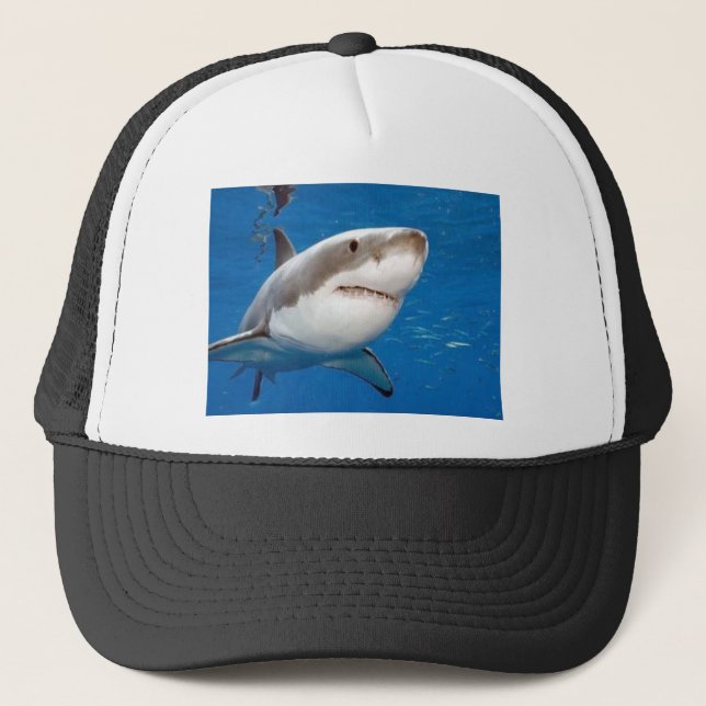 Casquette Grand requin blanc (Devant)