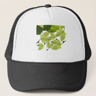 Casquette Grape Vine Green Leaves