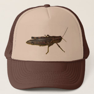 Casquette Grasshopper Design