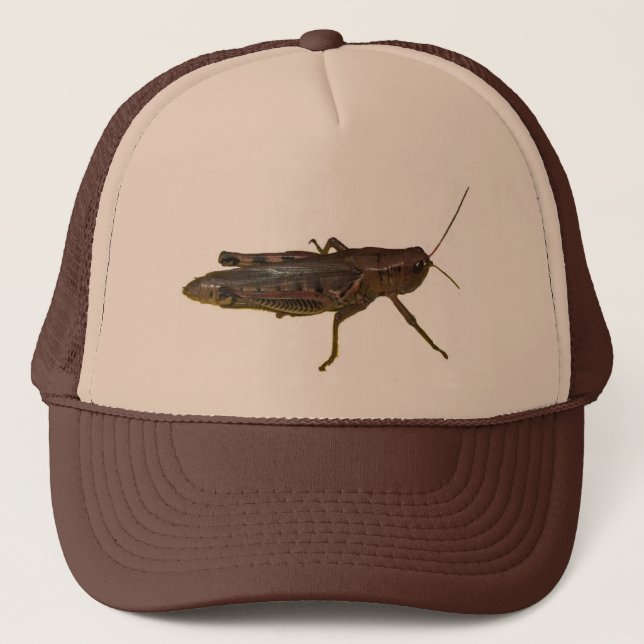 Casquette Grasshopper géant (Devant)