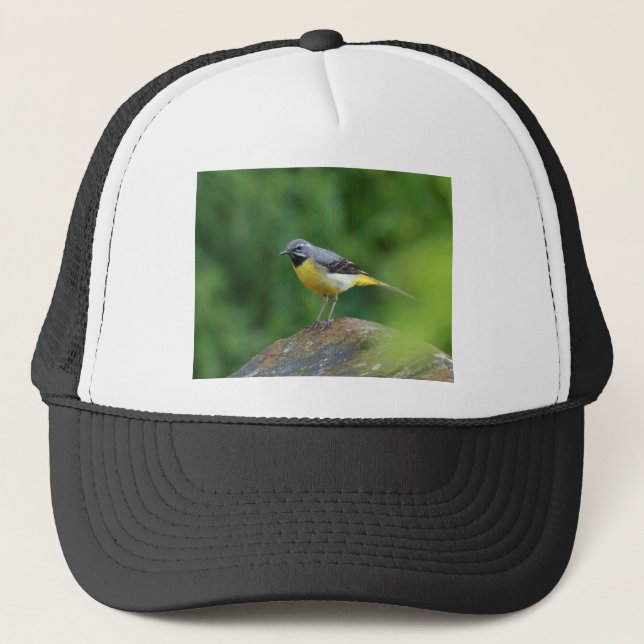 Casquette Gray Wagtail - oiseau (Devant)