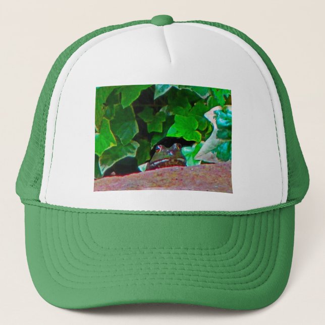 Casquette Grenouille de froncement de sourcils (Devant)