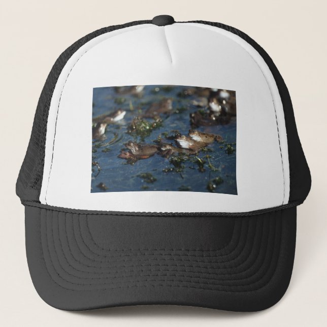 Casquette Grenouille drôle (Devant)