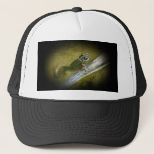 Casquette Grenouille taureau américaine - Rana catesbeiana