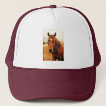 Gros chapeau de camion Braxton