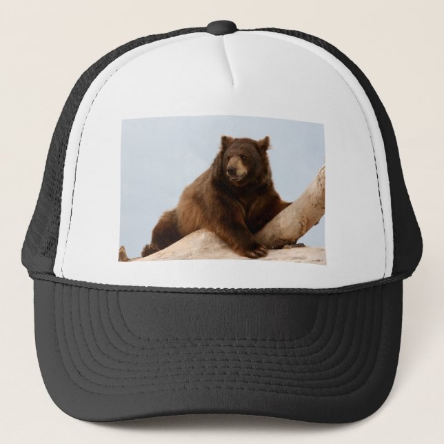 Casquette Gros ours Brown sur un journal (Devant)
