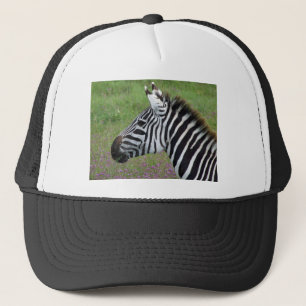 Casquette Gros plan de Ngorongoro Zebra