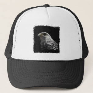 Casquette Gyrfalcon arctique