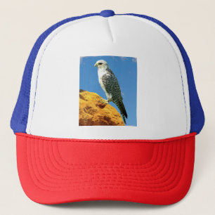 Casquette Gyrfalcon perché sur un rocher