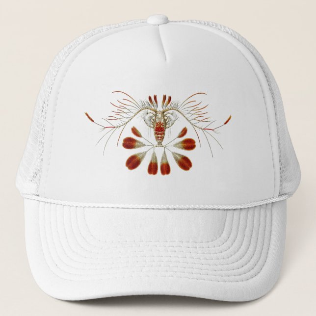 Casquette Haeckel (Devant)