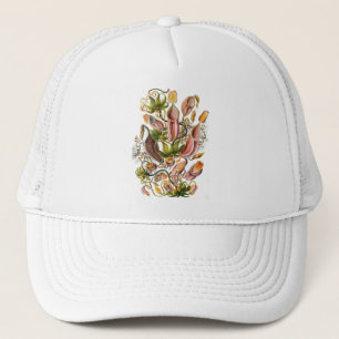 Casquette Haeckel