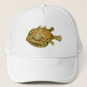 Casquette Haeckel Fish