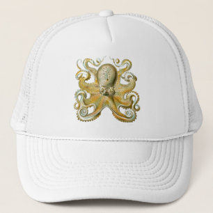 Casquette Haeckel Octopus