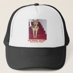 Casquette Halloween Dog and No Treats Hat