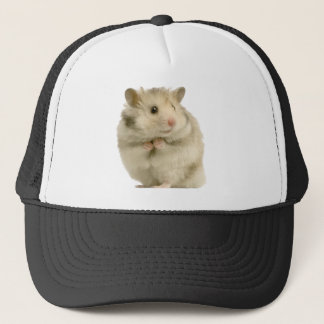 Casquette Hamster