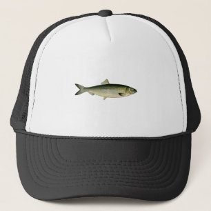 Casquette Harengs atlantiques de mer