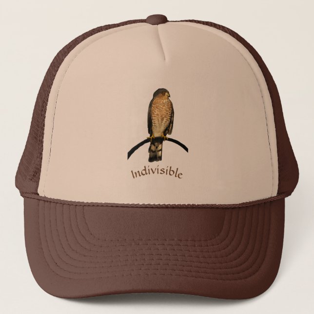 Casquette Hawk Brown indivisible (Devant)