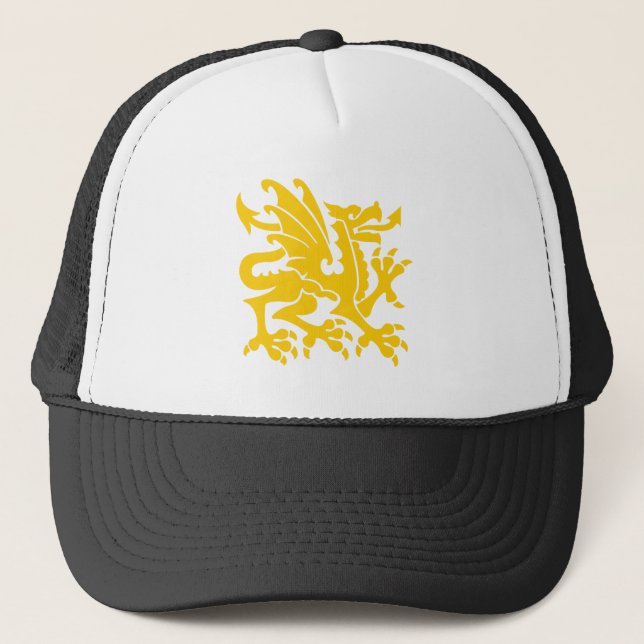 Casquette Heraldic Dragon 01 - Ambre (Devant)