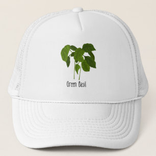 Casquette Herbe Basil Spices